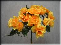 /netcat_files/114/158/h_862a32cc373ff61693a715f717d7a24d