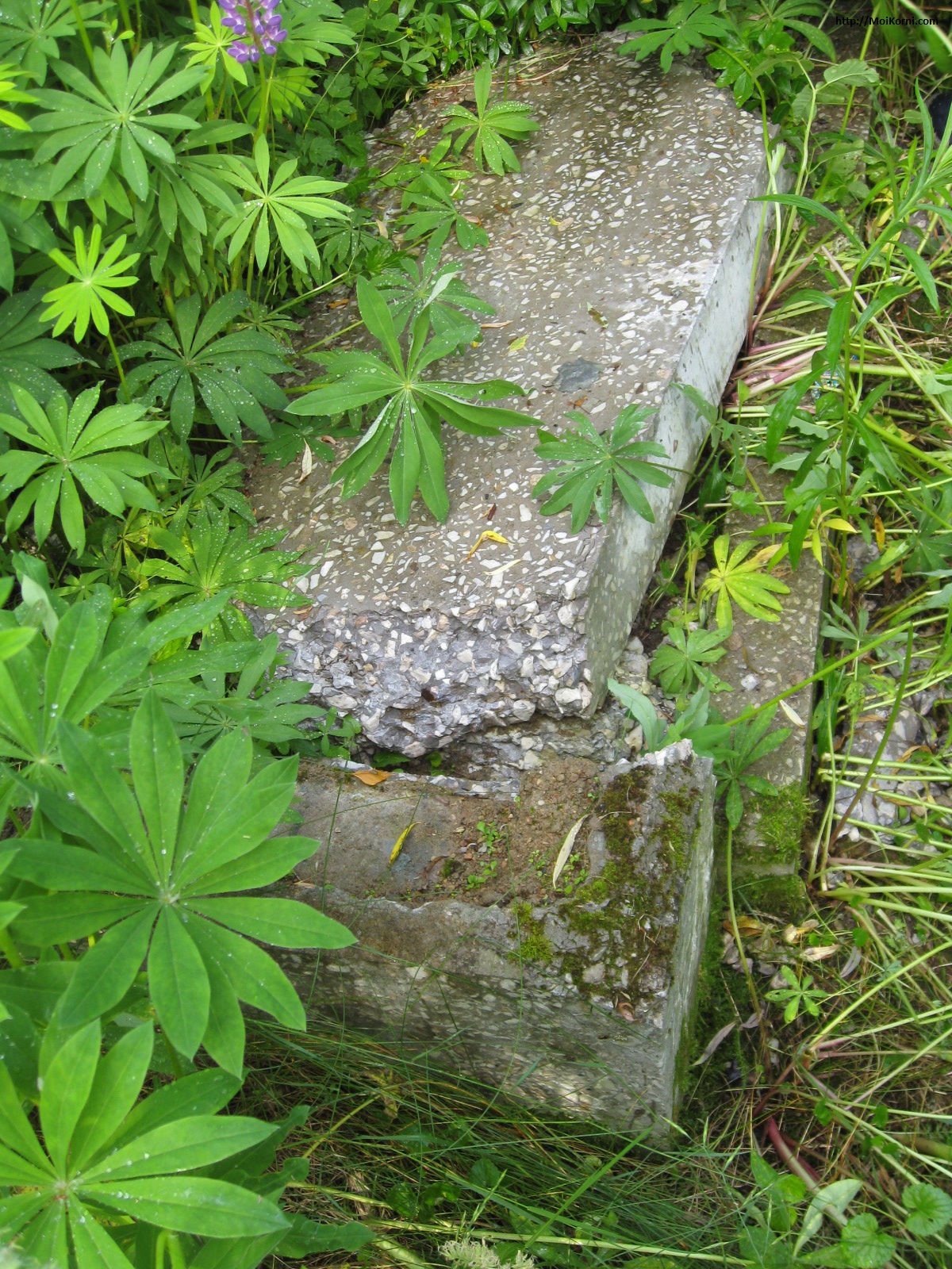 /netcat_files/1910/1996/h_fd282c10f5ea83e85136e3918c0206b6